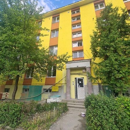 Mural Art Apartament Petrosani Exterior photo